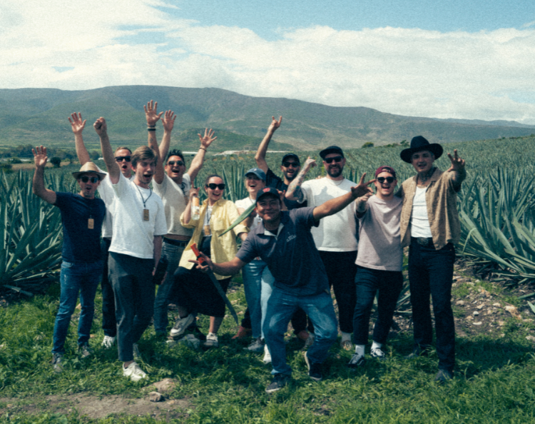 Roots of Agave: A Journey Through Mexico's Spirit